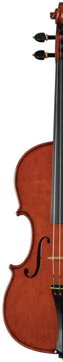 violin-half