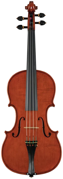 violin